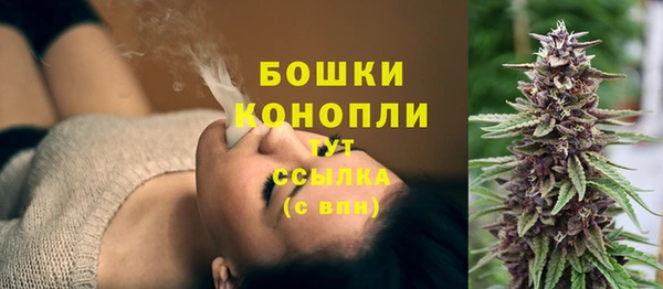тгк Инсар