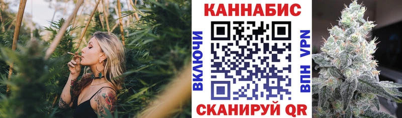Бошки Шишки сатива  Всеволожск 